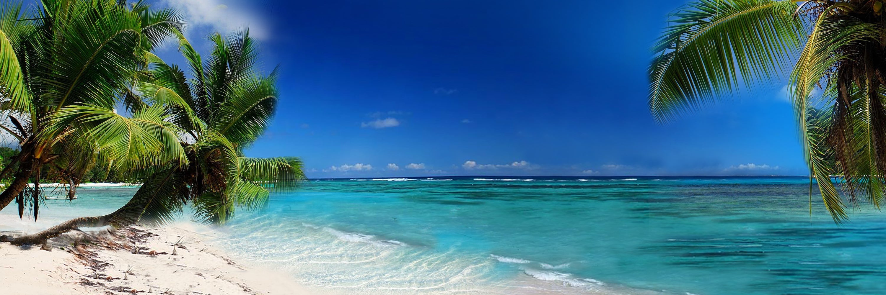 RESORT | BEACH WEAR