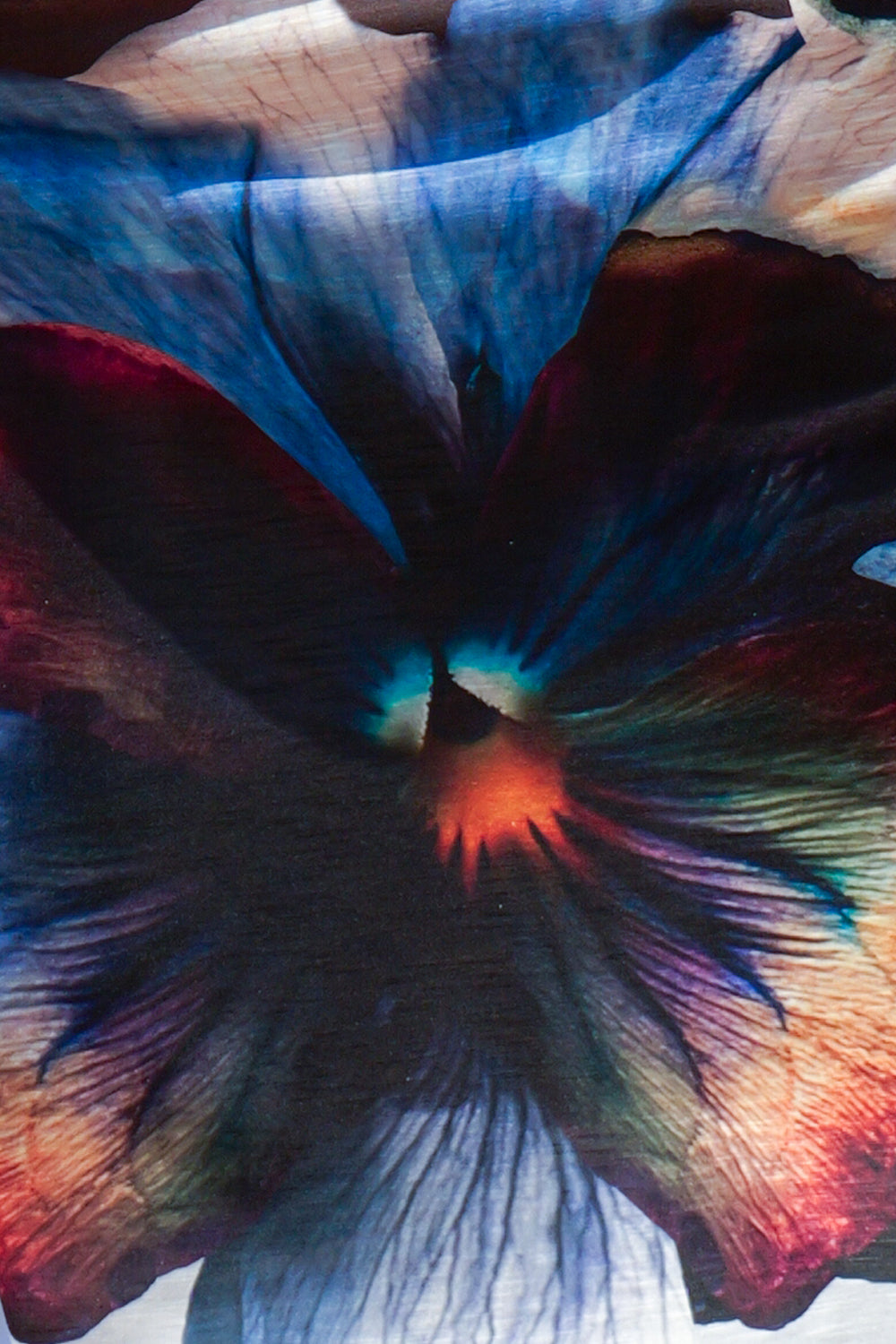 АСИМЕТРИЧНА КВАДРАТНА ТУНИКА - VIOLET