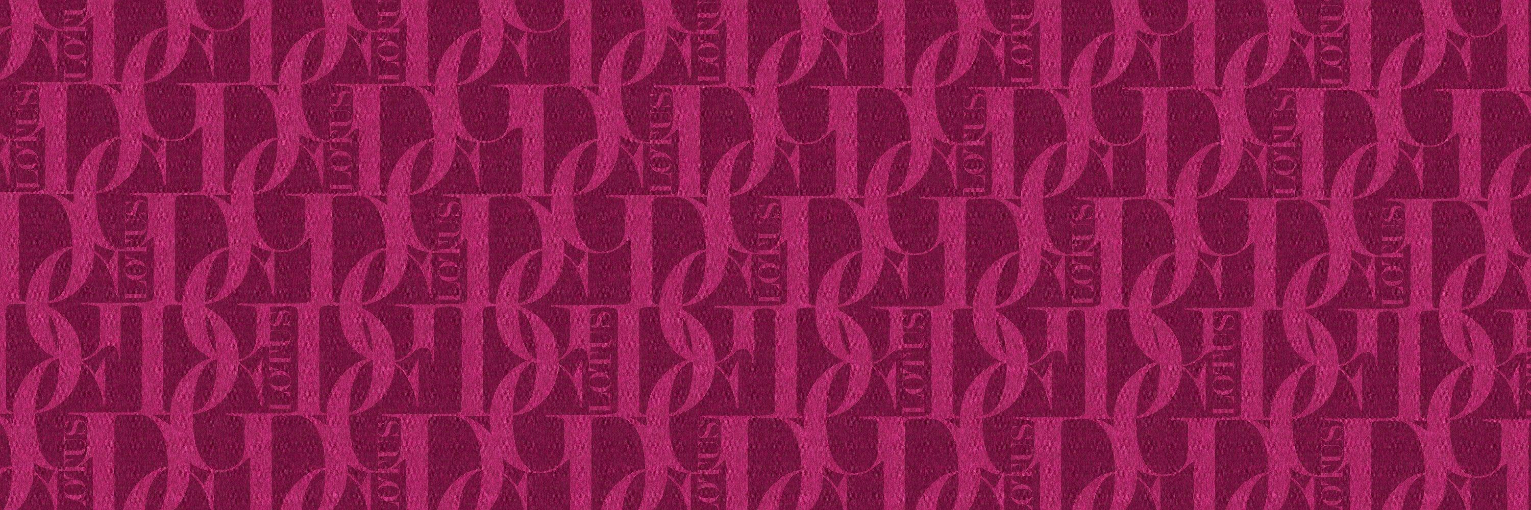 RASPBERRY LOGO